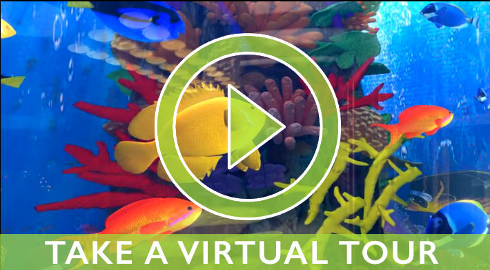 Barrier Reef Restaurant Virtual Tour