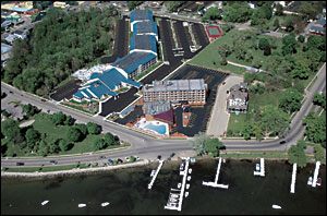Aerial View of the Cove
